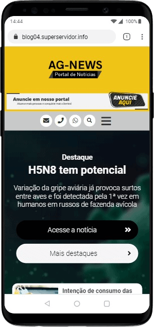 Modelo de site com blog de notícias