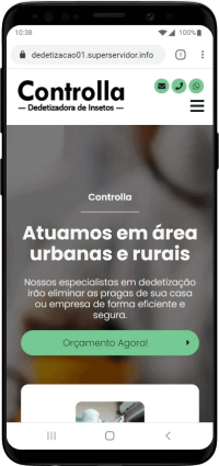 Modelo de site para dedetizadora e empresas de dedetização